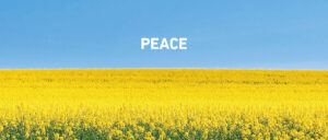 Giunti Psychometrics offers free first-aid psychological assessments for war refugees, available in Ukrainian language